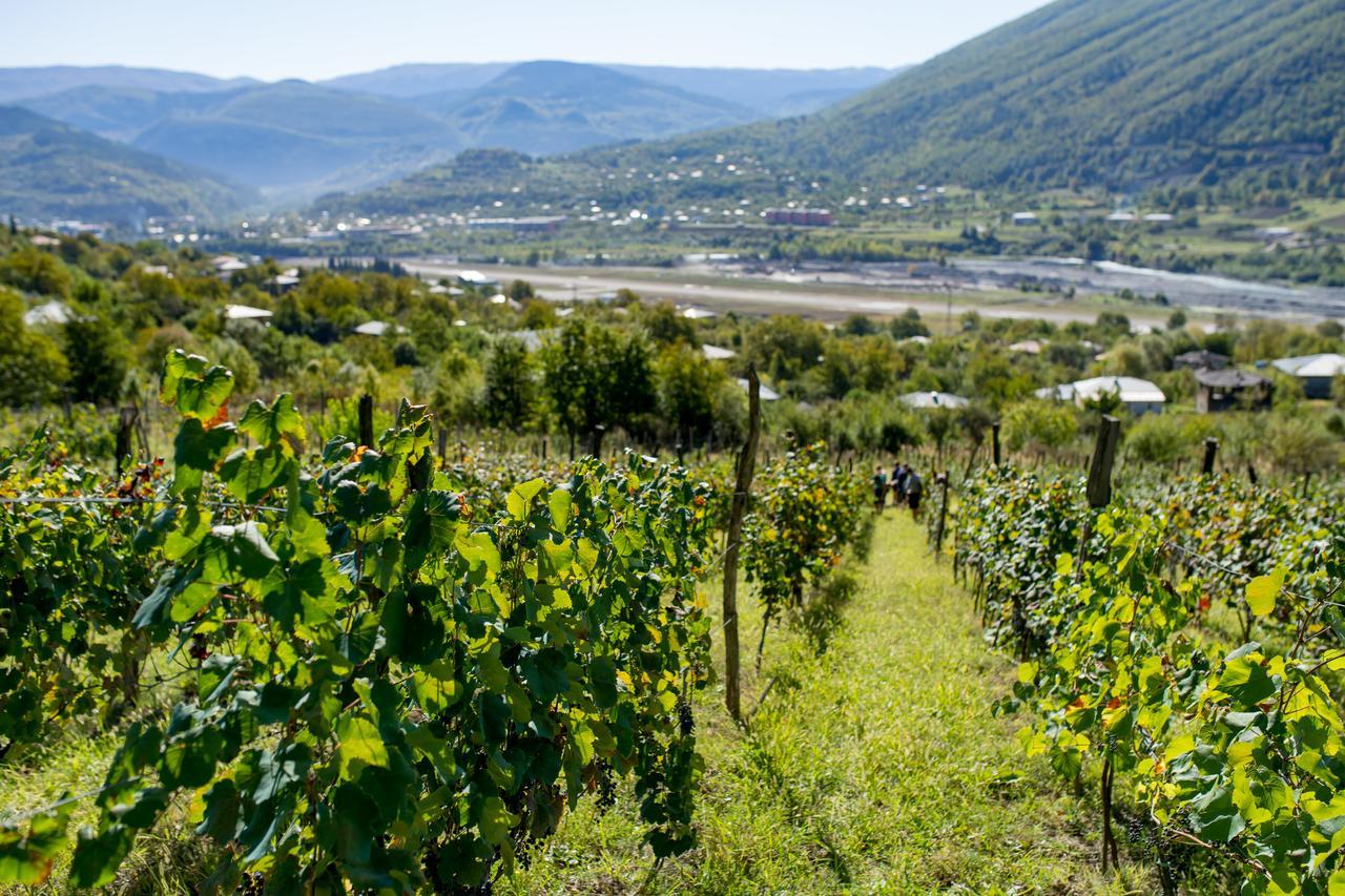 Chateau Dio Ambrolauri Kültér fotó