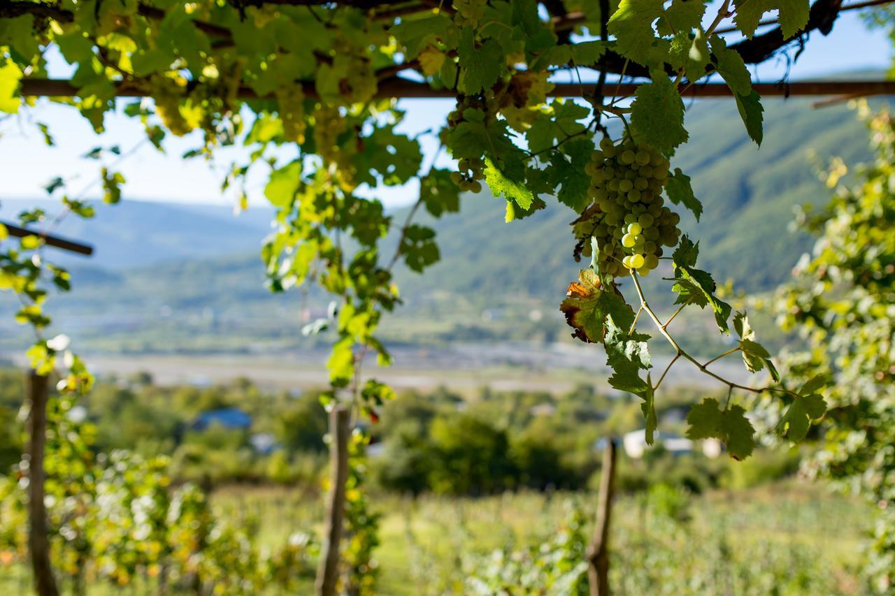 Chateau Dio Ambrolauri Kültér fotó