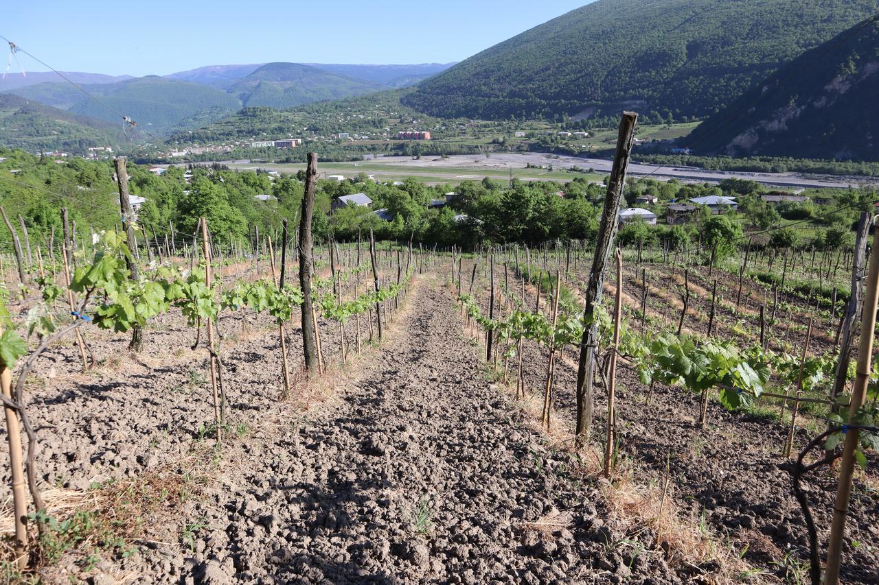 Chateau Dio Ambrolauri Kültér fotó